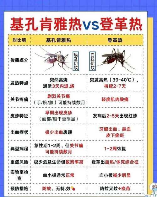 _登革热广东最新疫情_广东登革热症状疫情最新消息